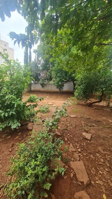 Lote - Venda