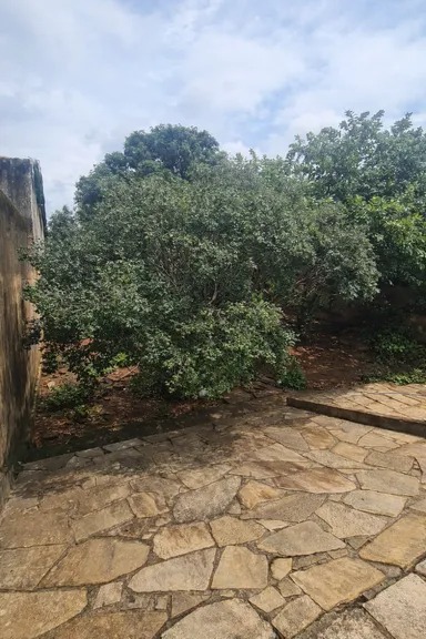 Lote de 444 m² Kitnet – Excelente Oportunidade de Investimento
