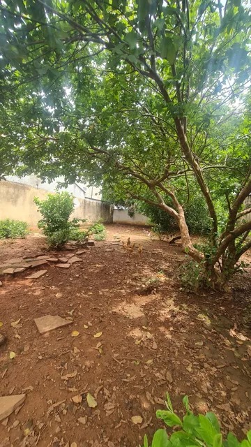 Lote de 444 m² Kitnet – Excelente Oportunidade de Investimento