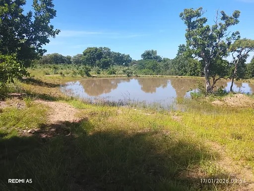 ?? IMÓVEL RURAL À VENDA – EXCELENTE OPORTUNIDADE