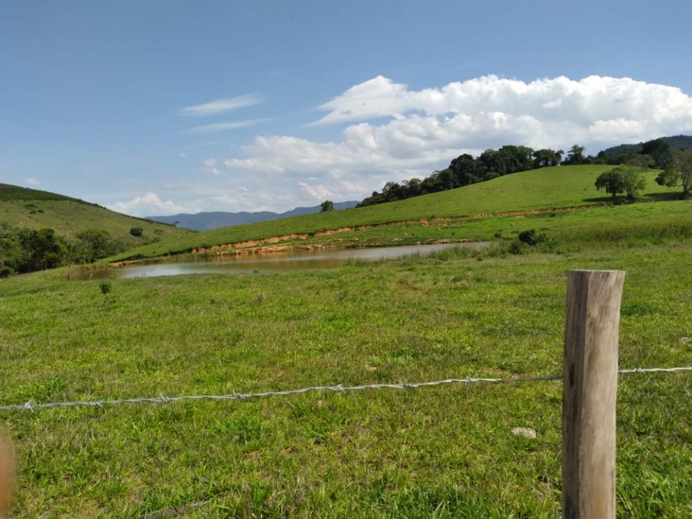 Fazenda - Venda, Área Rural de Poços de Caldas, Poços de Caldas, MG