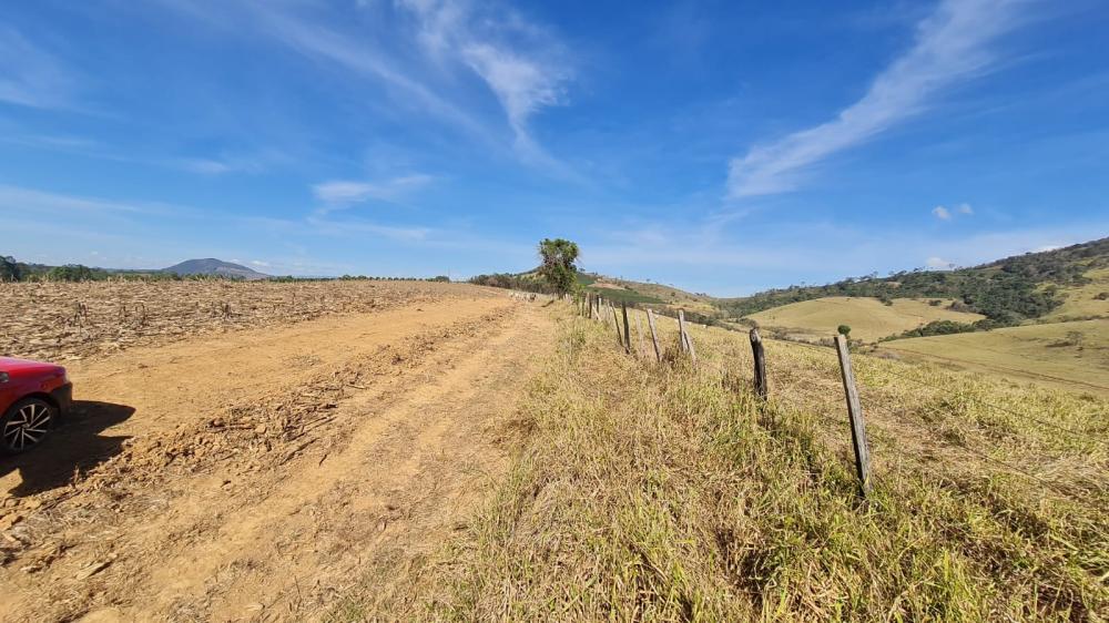 Fazenda - Venda, Zona Rural, Caconde, SP