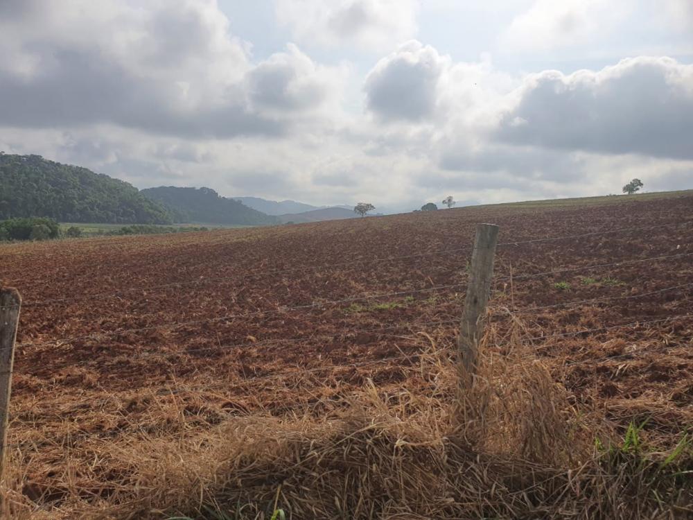 Fazenda - Venda, Zona Rural, Carmo de Minas, MG