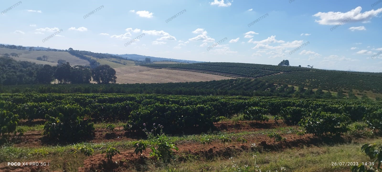 Fazenda - Venda