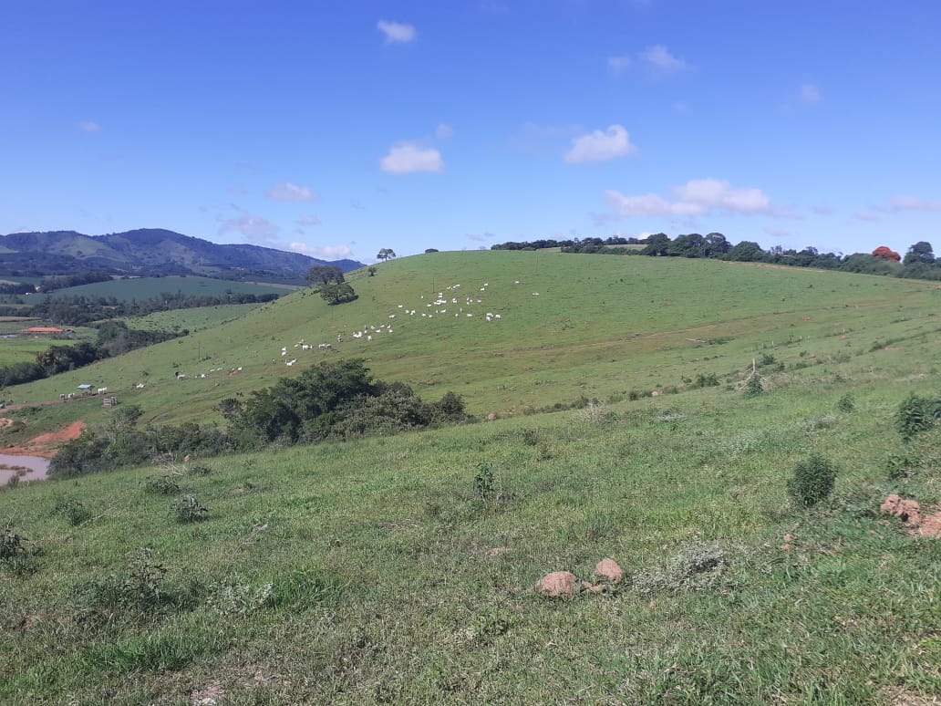 Fazenda