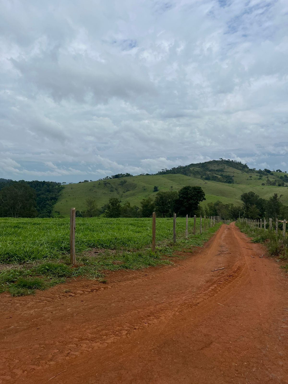 Fazenda - Venda, Zona Rural, Caconde, SP