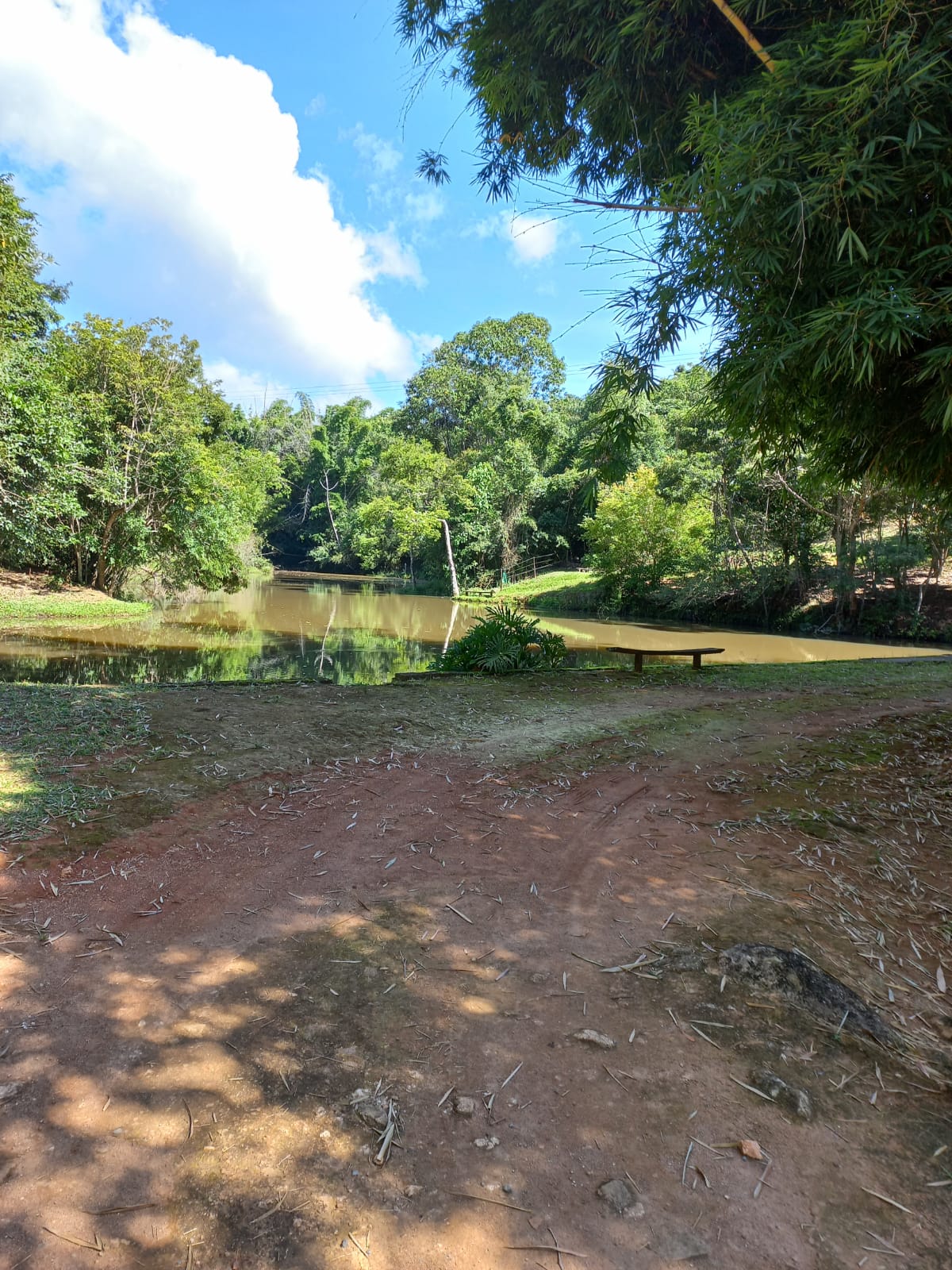 Sítio - Venda, Zona Rural, Caconde, SP