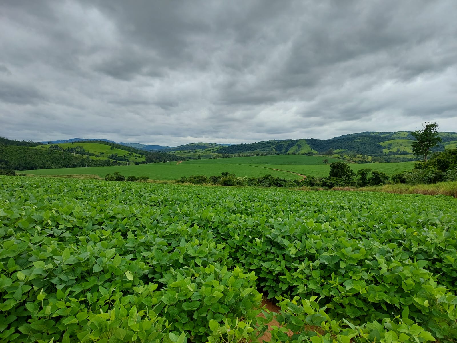 Fazenda