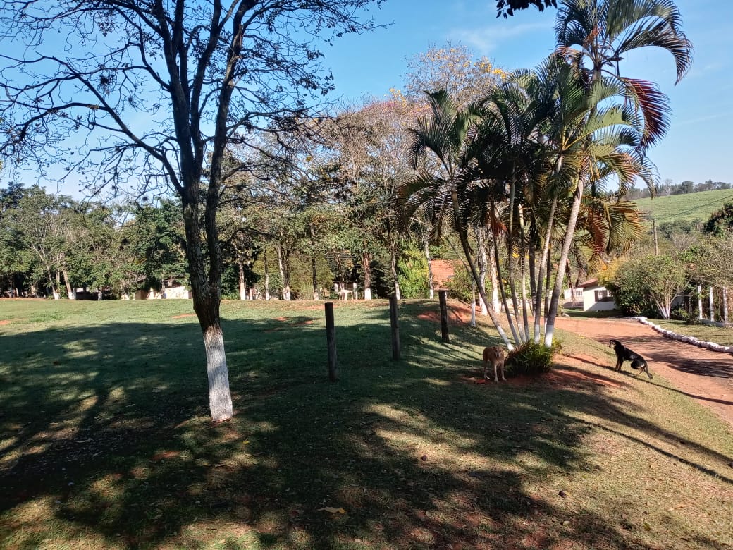Sítio - Venda, Área Rural de São João da Boa Vista, São João da Boa Vista, SP