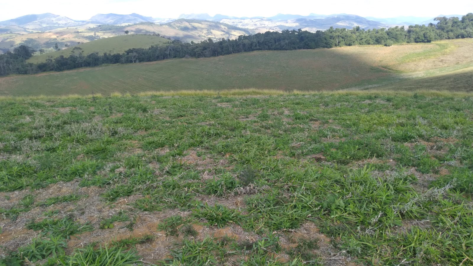 Fazenda - Venda