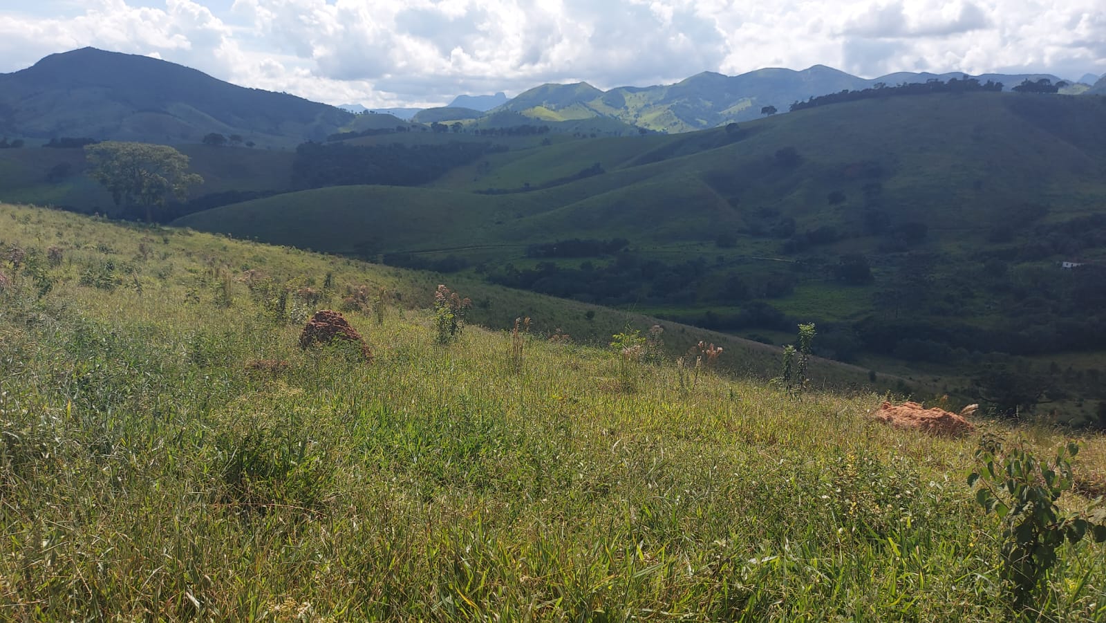 Fazenda - Venda