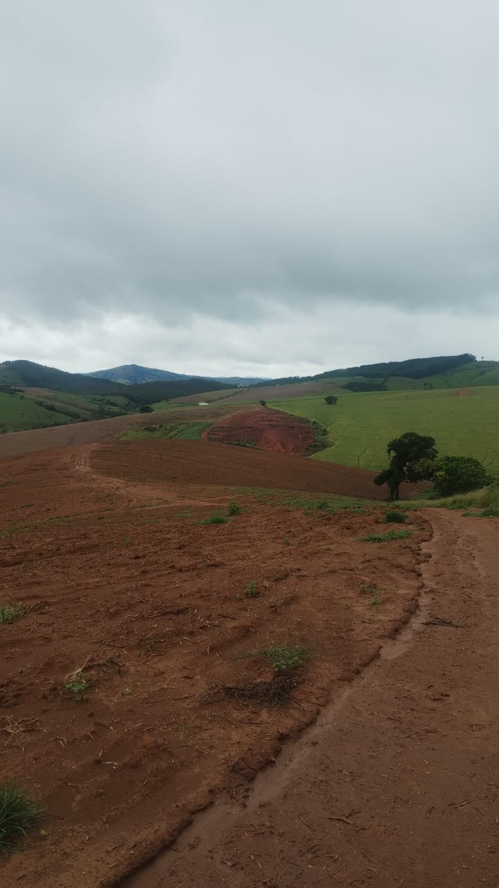 Fazenda - Venda