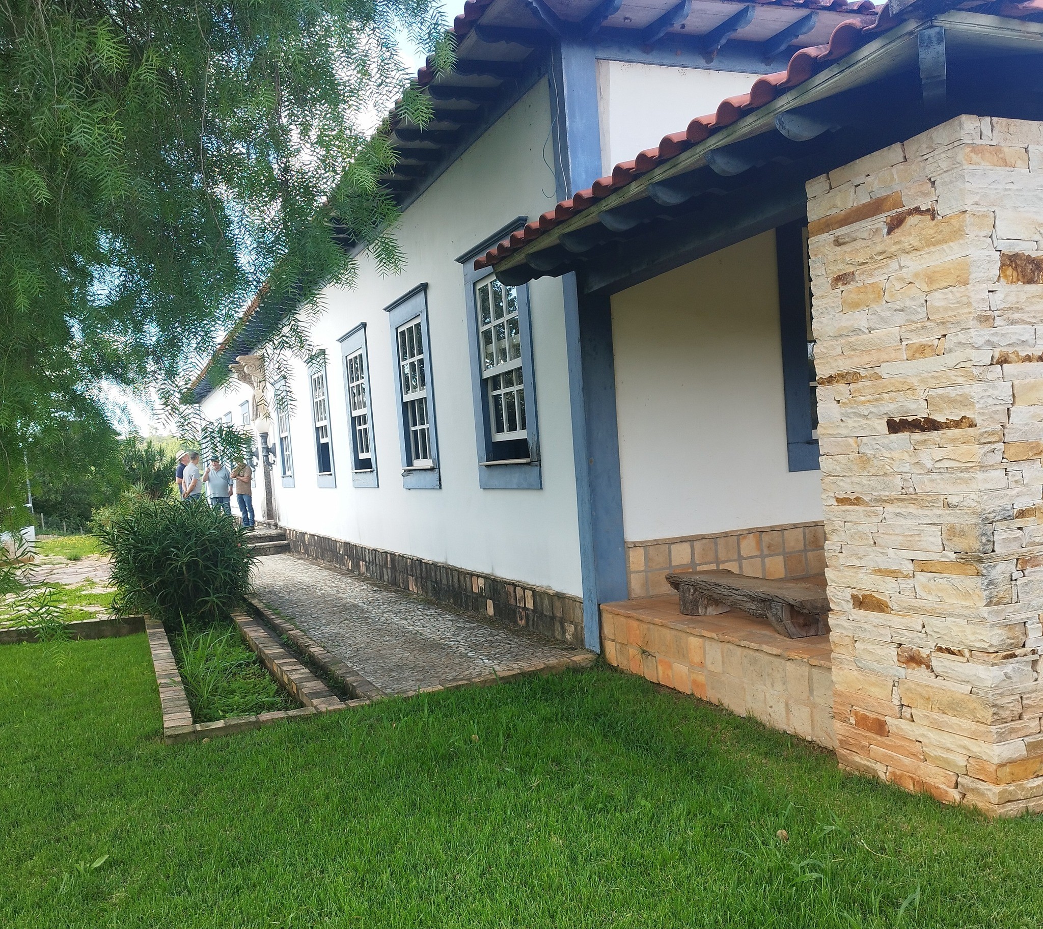 Fazenda - Venda