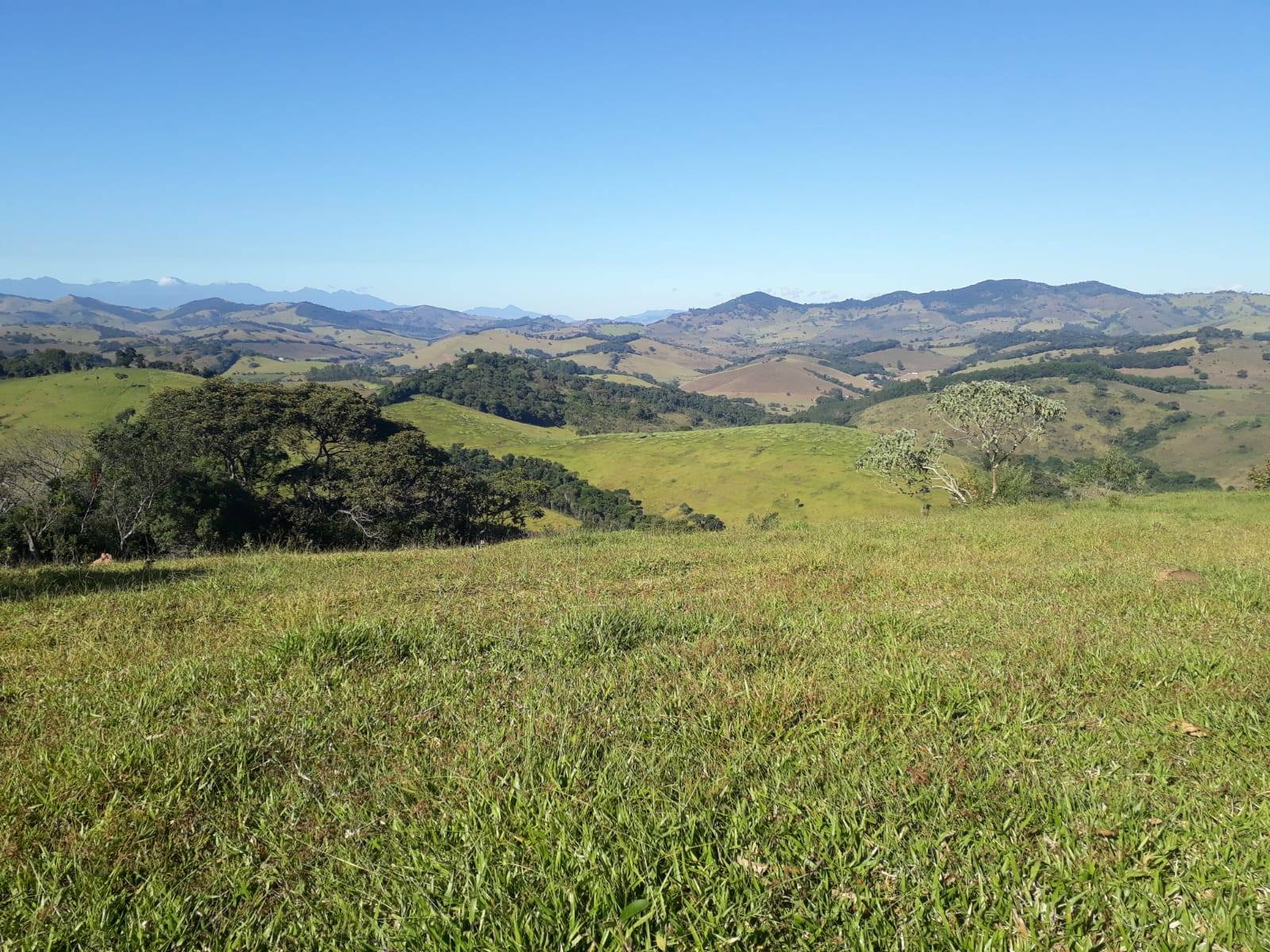 Fazenda - Venda