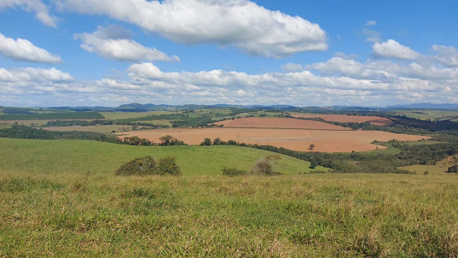 Fazenda - Venda, Zona Rural, Botelhos, MG