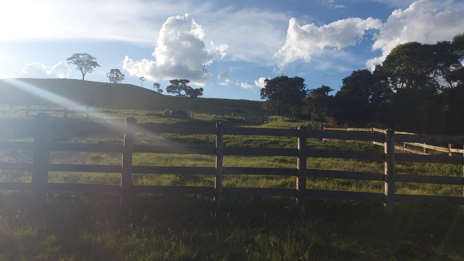 Fazenda - Venda