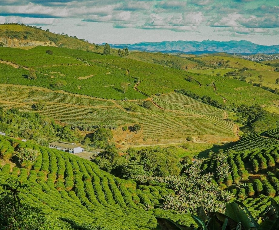 Fazenda