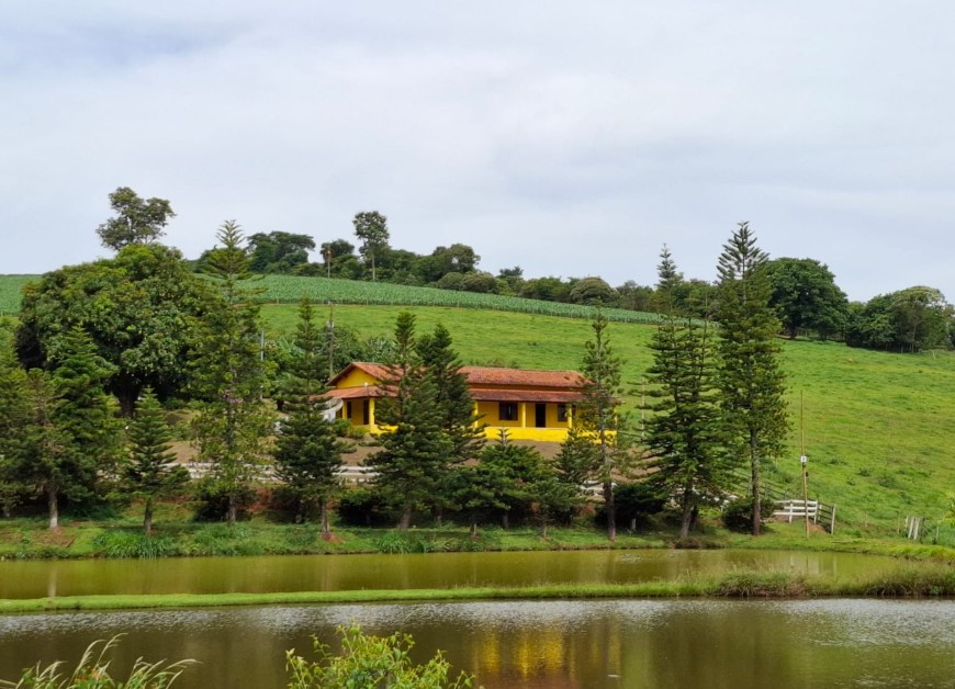 Fazenda - Venda