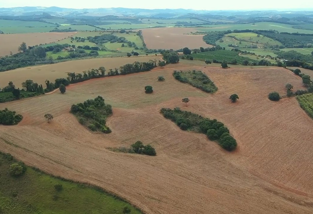 Fazenda - Venda