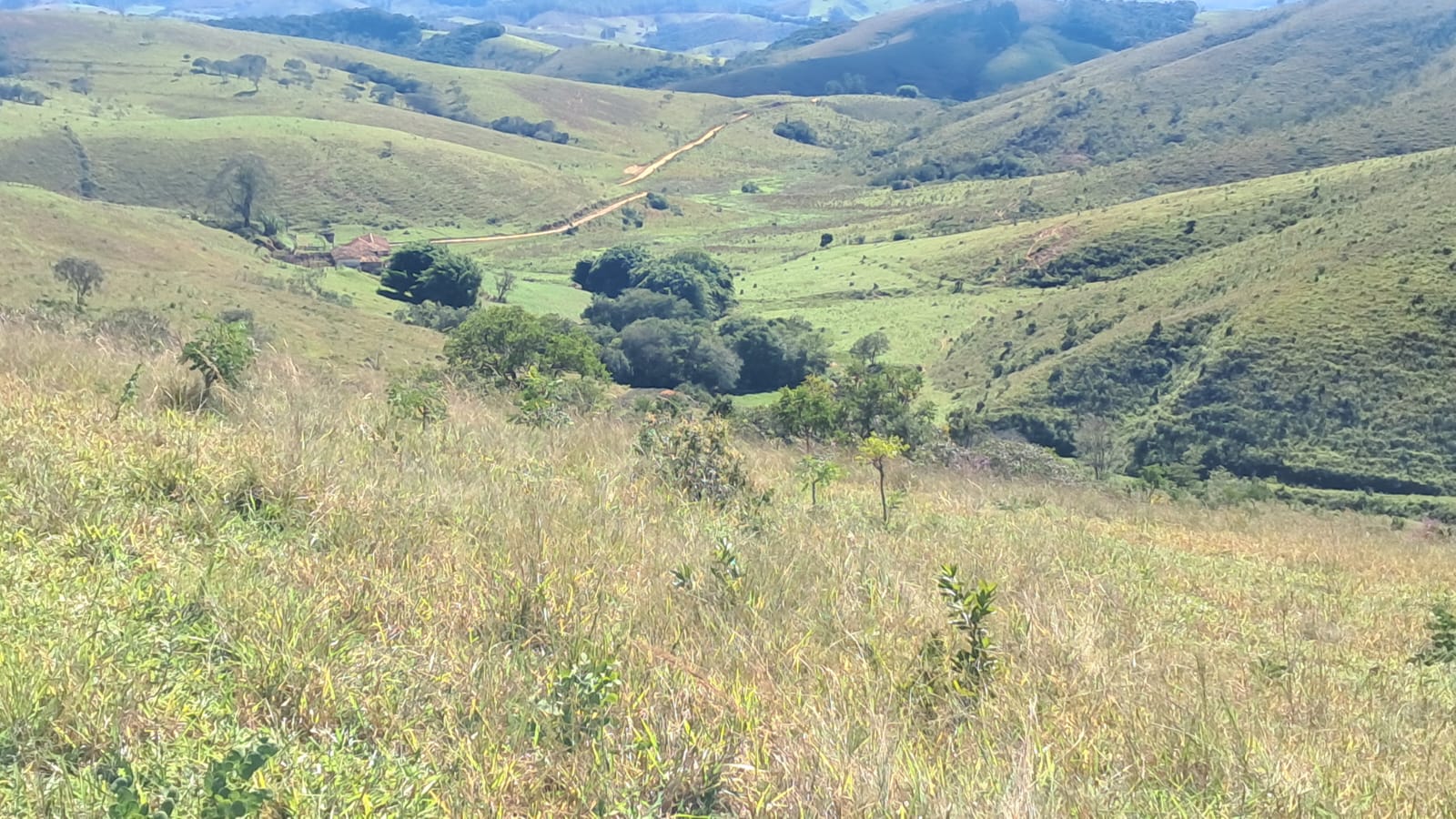 Fazenda
