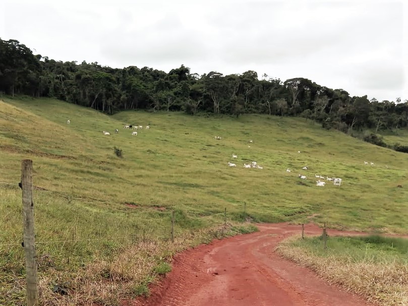 Fazenda - Venda, Zona Rural, Carmo de Minas, MG