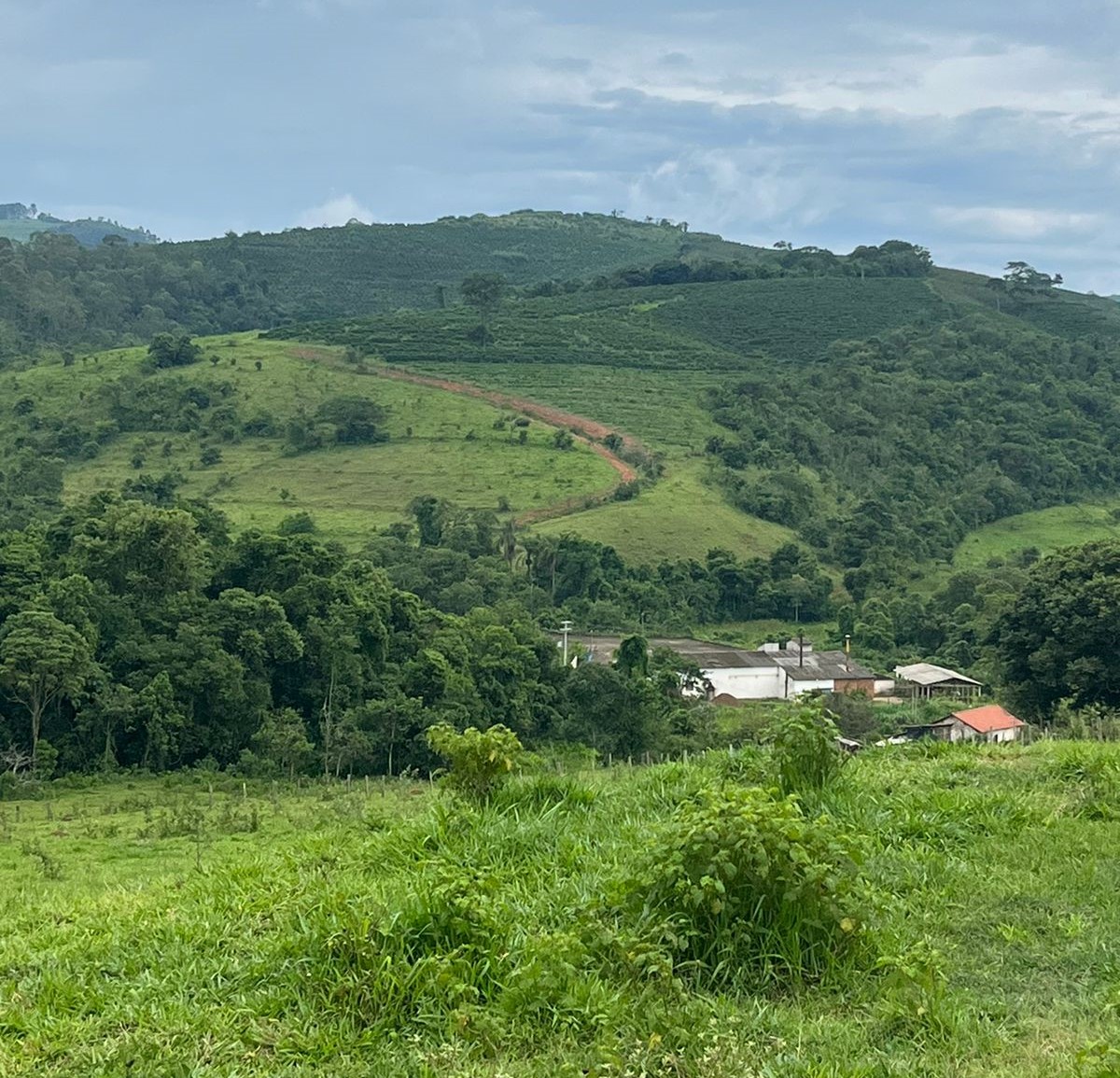 Fazenda - Venda, Área Rural de Caconde, Caconde, SP