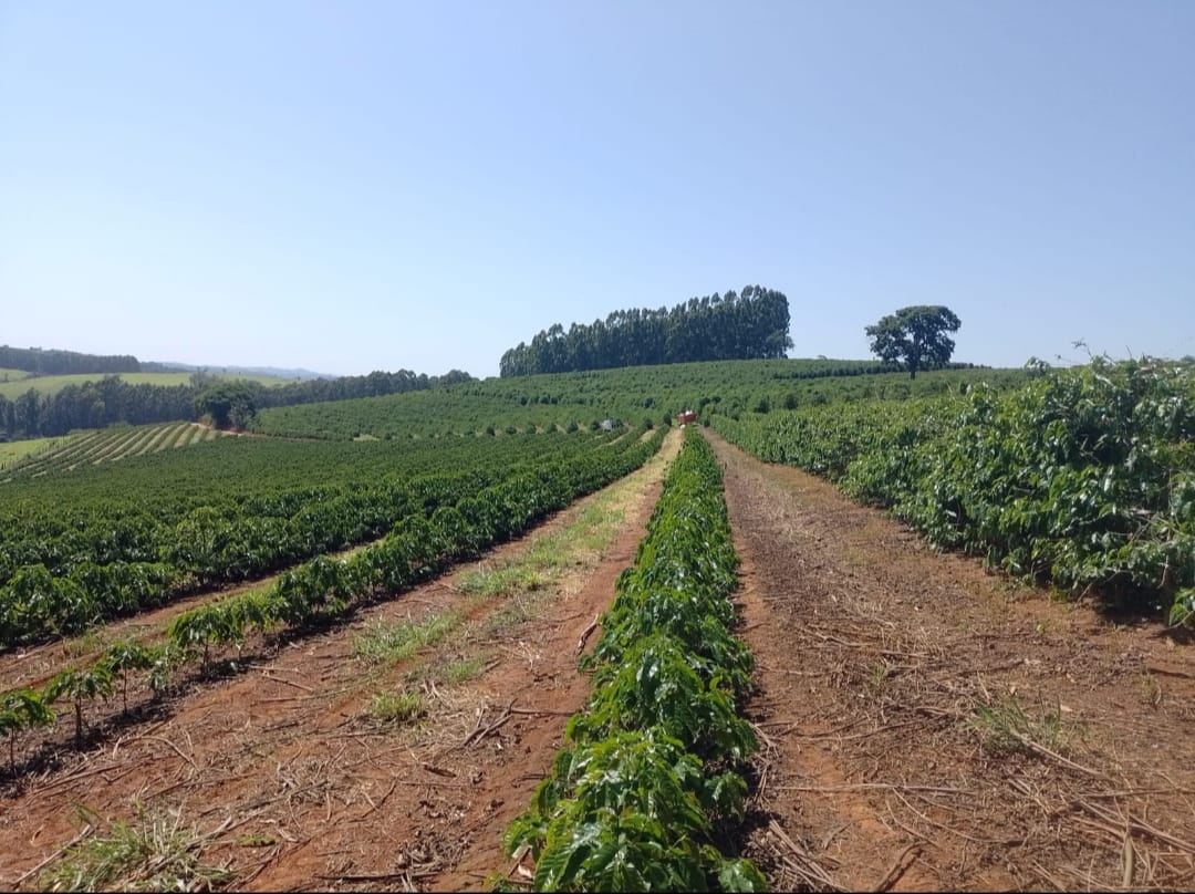 Sítio - Venda, Área Rural de Botelhos, Botelhos, MG