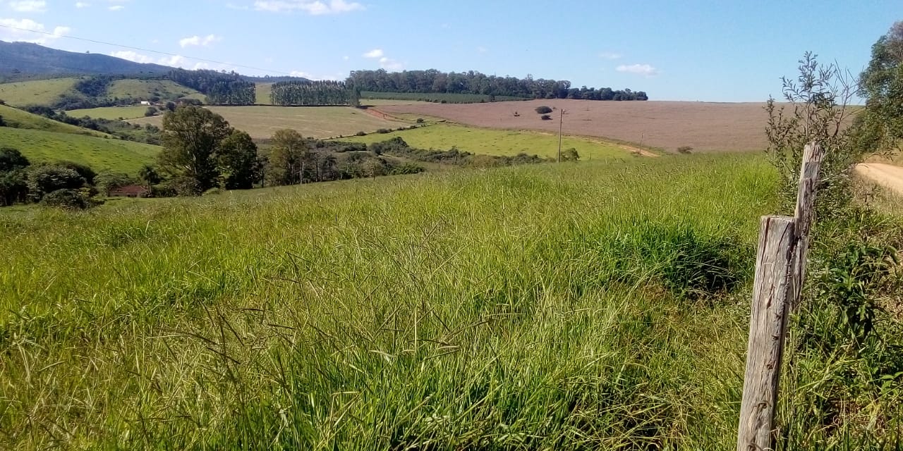 Fazenda - Venda, Zona Rural, Caconde, SP