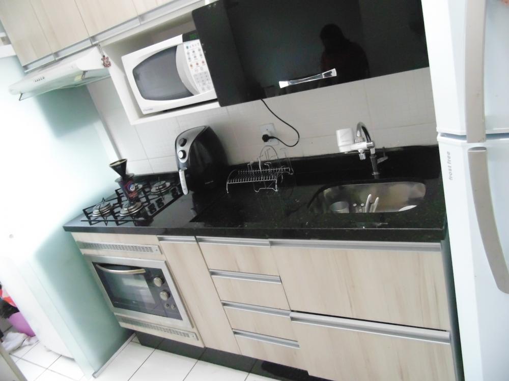Apartamento - Venda, Ponte Grande, Guarulhos, SP