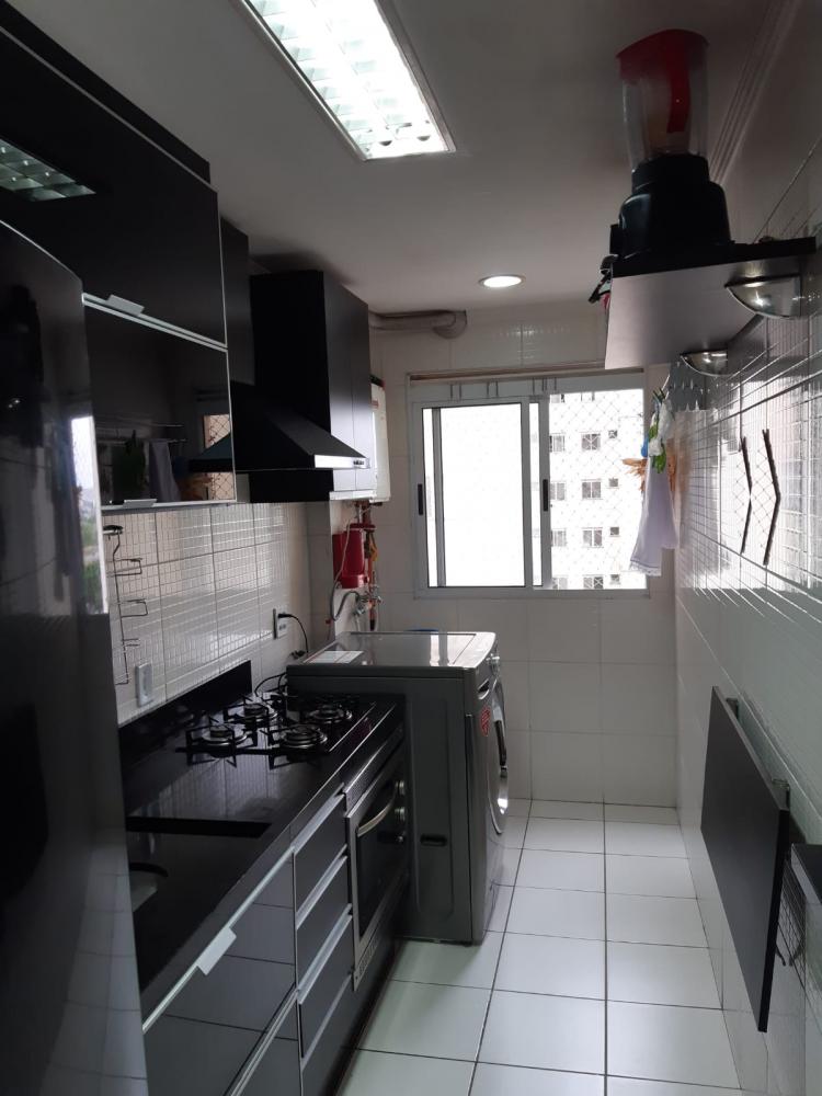 Apartamento - Venda, Ponte Grande, Guarulhos, SP