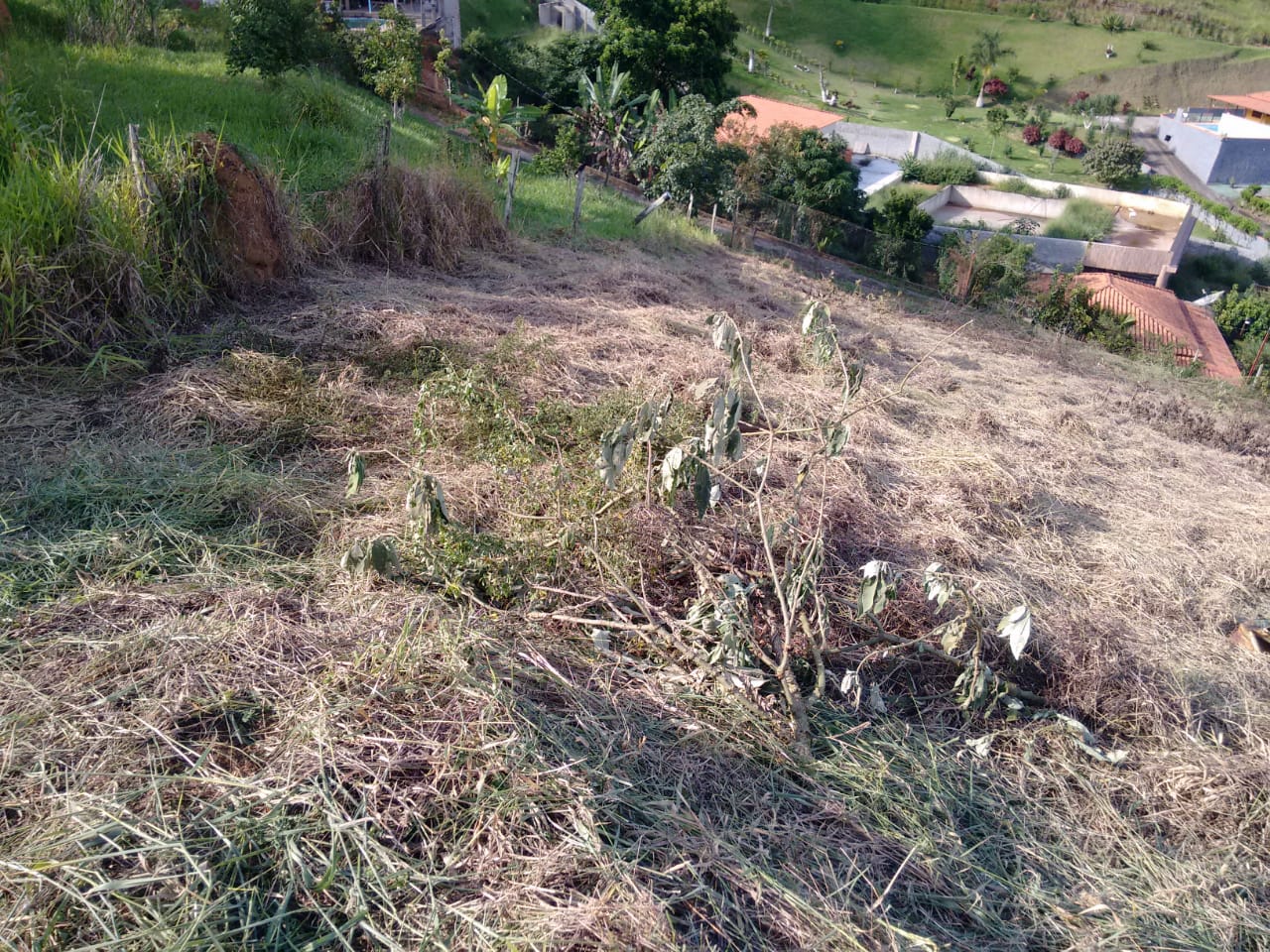 Granja com 2.700 m² no condomínio Parque das Colinas