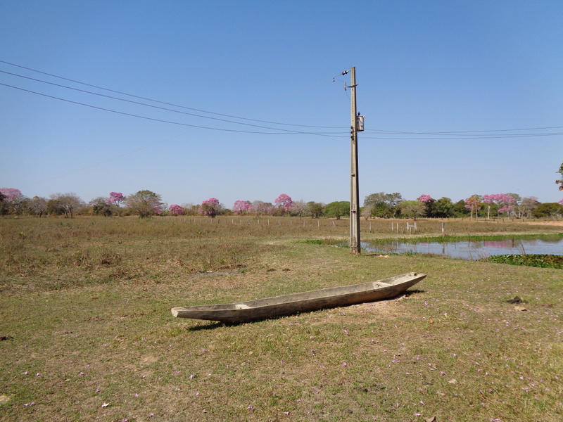 Fazenda - Venda, MUNICIPIO DE POCONÉ MT, MT