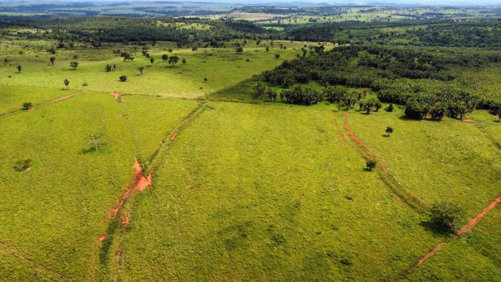 Fazenda no município de Dom Aquino-MT 249,13 hectares