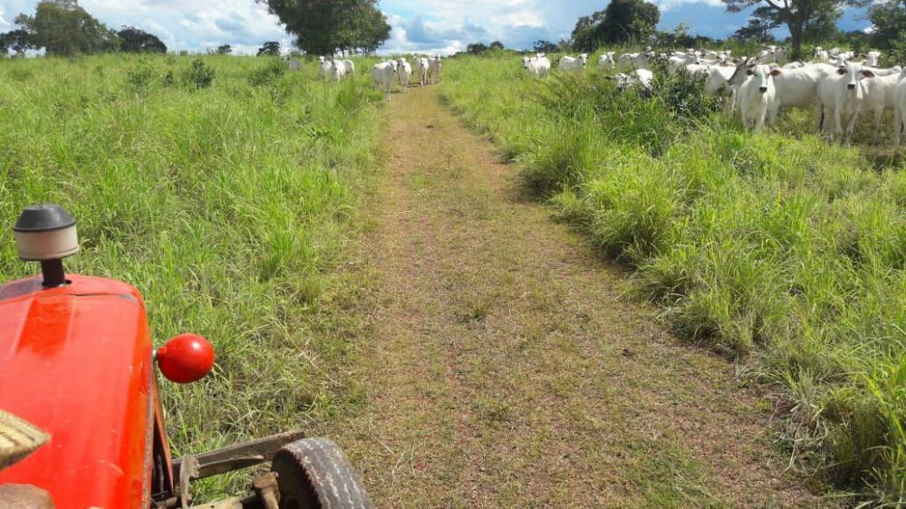 Fazenda - Venda, Municipio de Pocone MT, MT