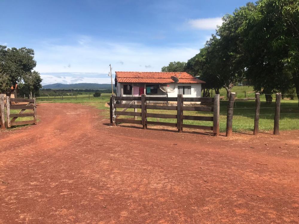 Fazenda 2.500 hectare Município de Cuiabá MT