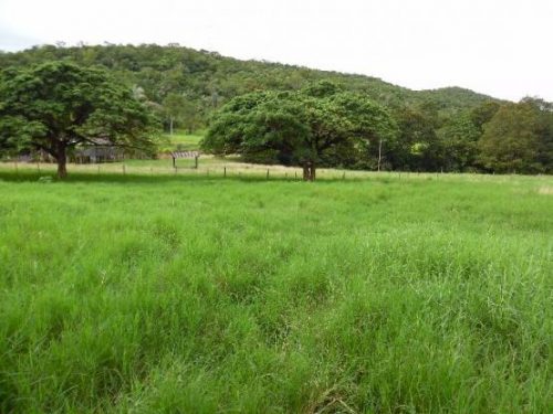 Fazenda-Venda