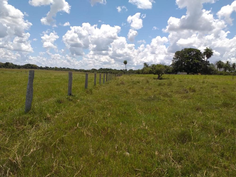Fazenda - Venda, Municipio de Pocone MT, MT