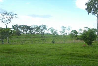 Fazenda - Venda, Municipio de Pocone MT, MT