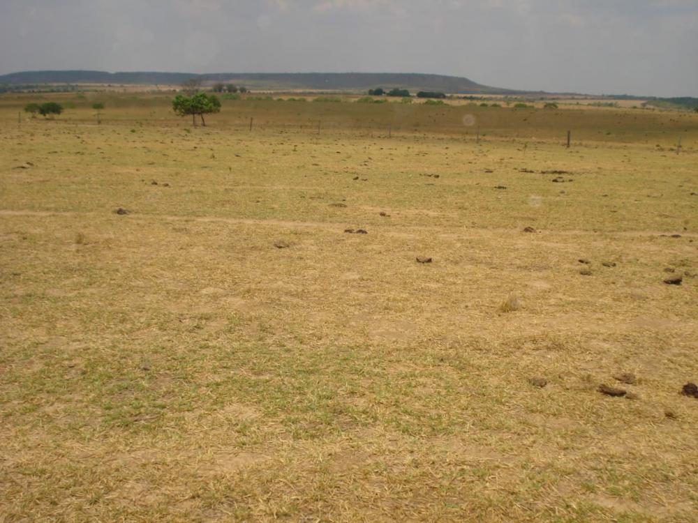 Fazenda 4.195 Hectares Municipio de Paranatinga MT