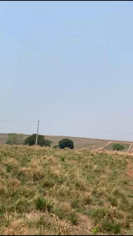 fazenda  1.160  hectares Município de Dom Aquino MT