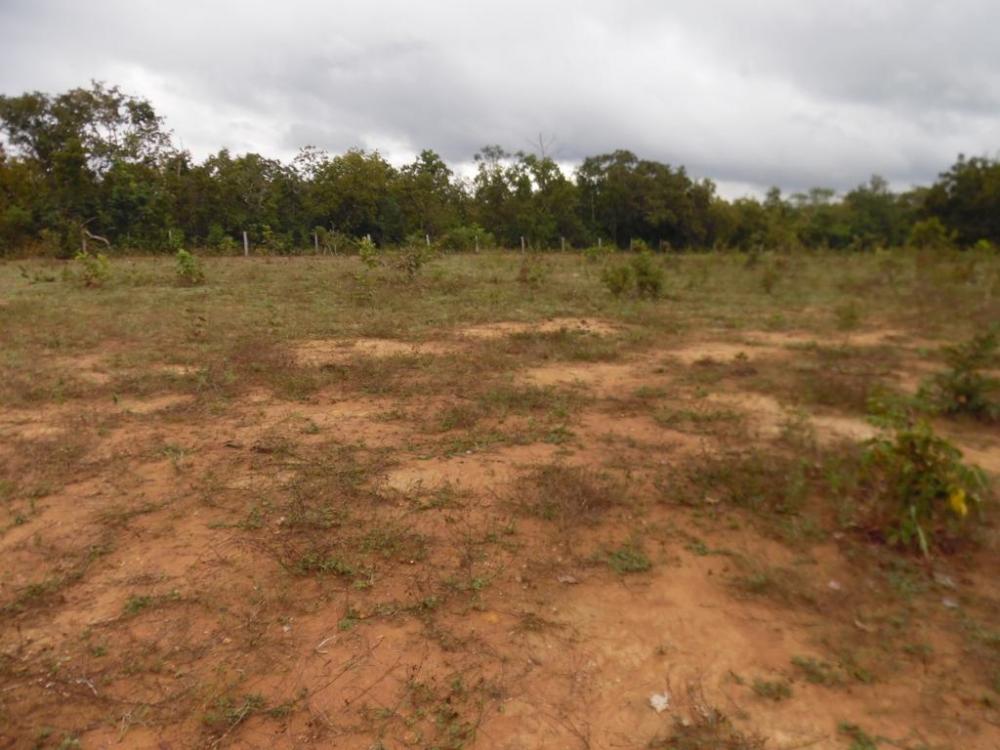 Fazenda - Venda, Município de Pocone MT, MT