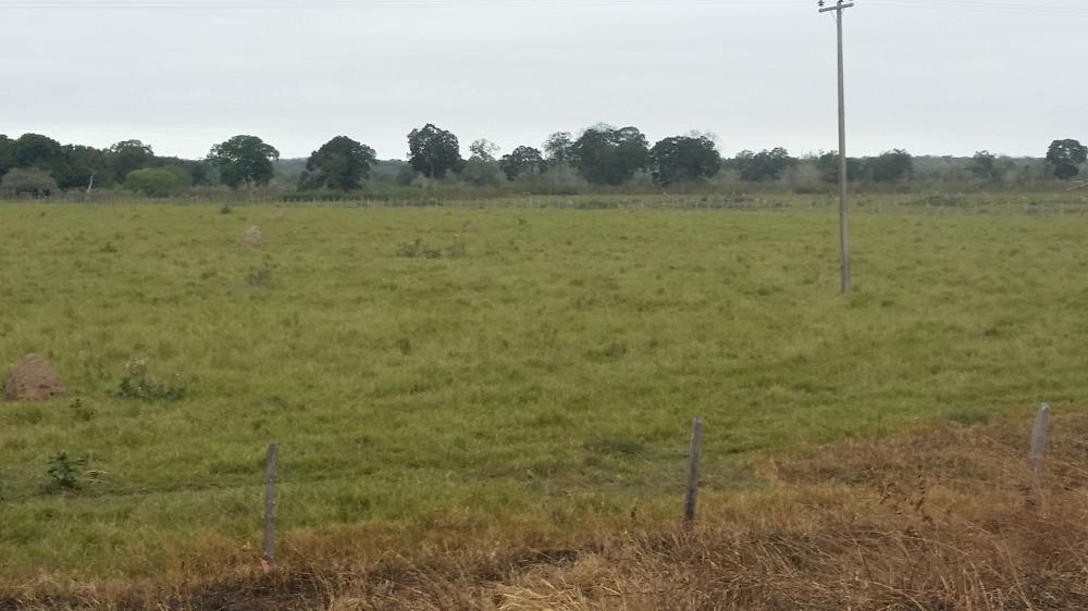 Fazenda - Venda, Municipio de Poconé MT, MT