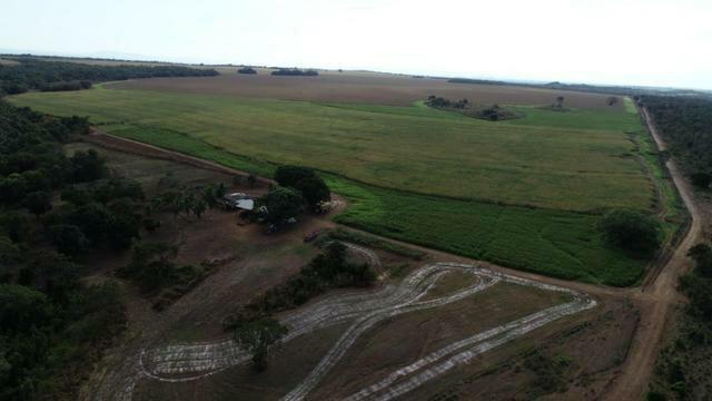 Fazenda 978 hectares Municipio de Rosario Oeste MT