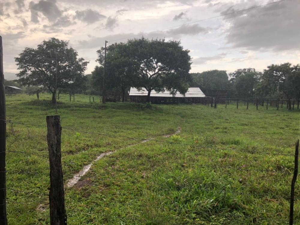 Fazenda - Venda, Municipio de Pocone MT, MT