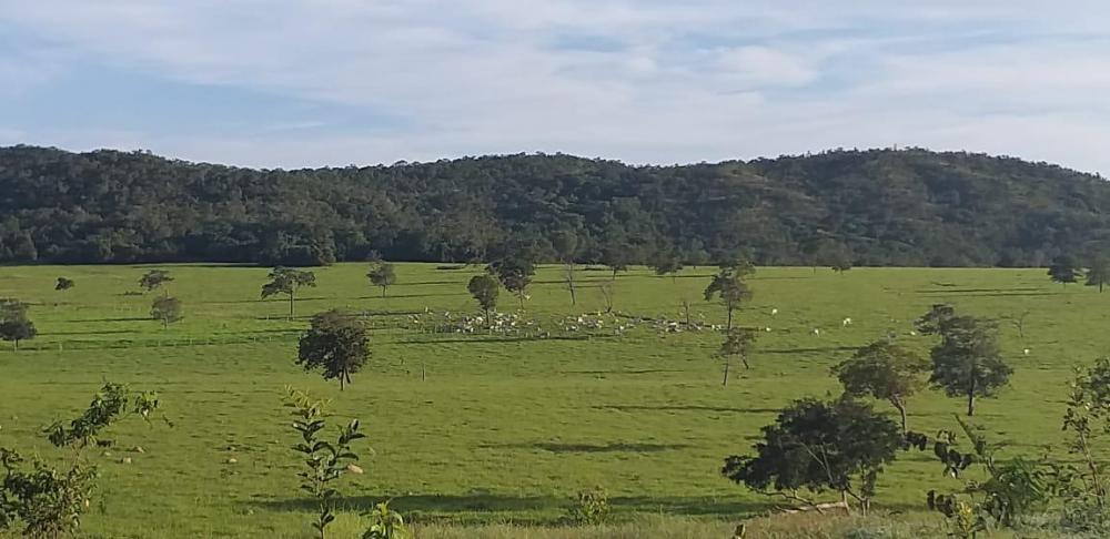 Fazenda 1.383 Hectares Municipio de Barra do Garças MT