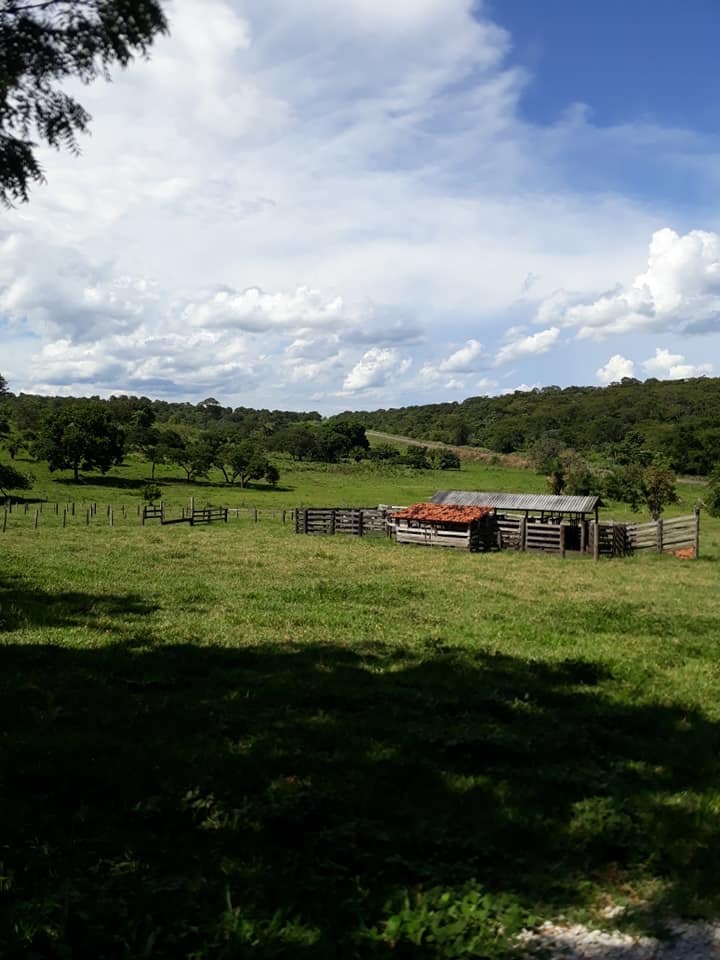 Fazenda - Venda, MUNICIPIO DE POCONE MT, MT