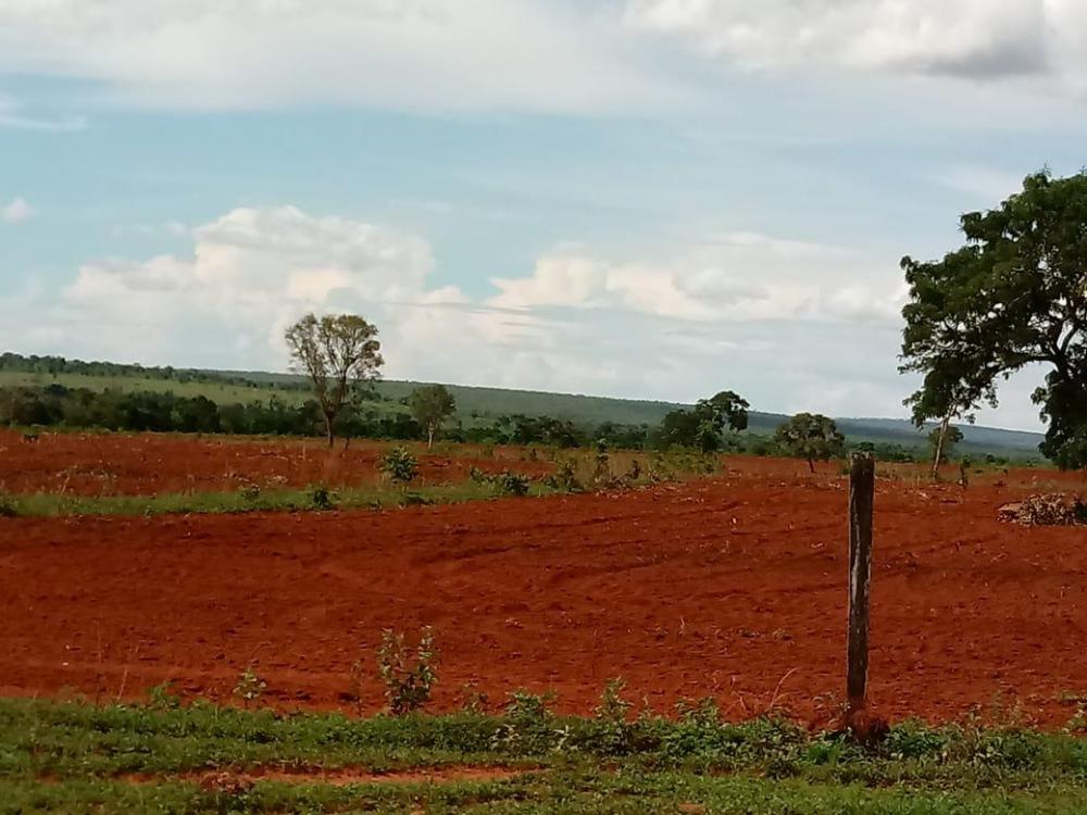 Fazenda 3.580 Hectares Municipio de Barra do Garças MT