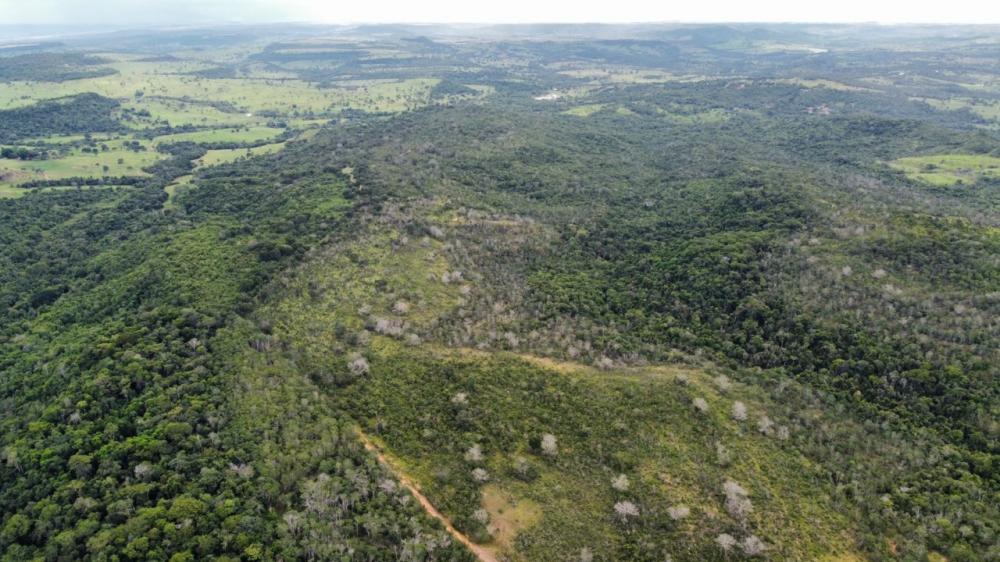 Fazenda a venda- 202 hectares - Dom Aquino – MT