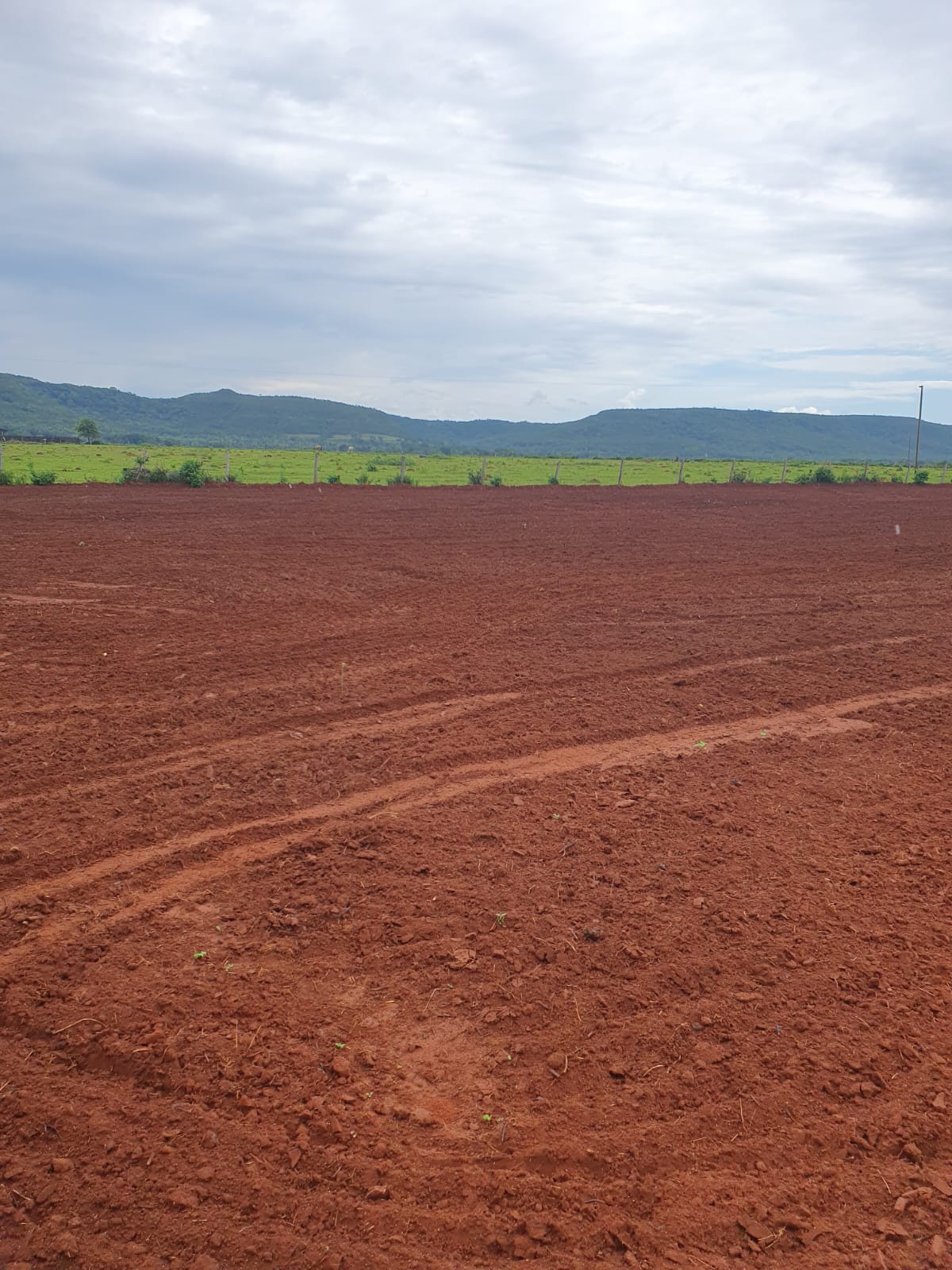 Fazenda 405 hectares Município de Nobres MT