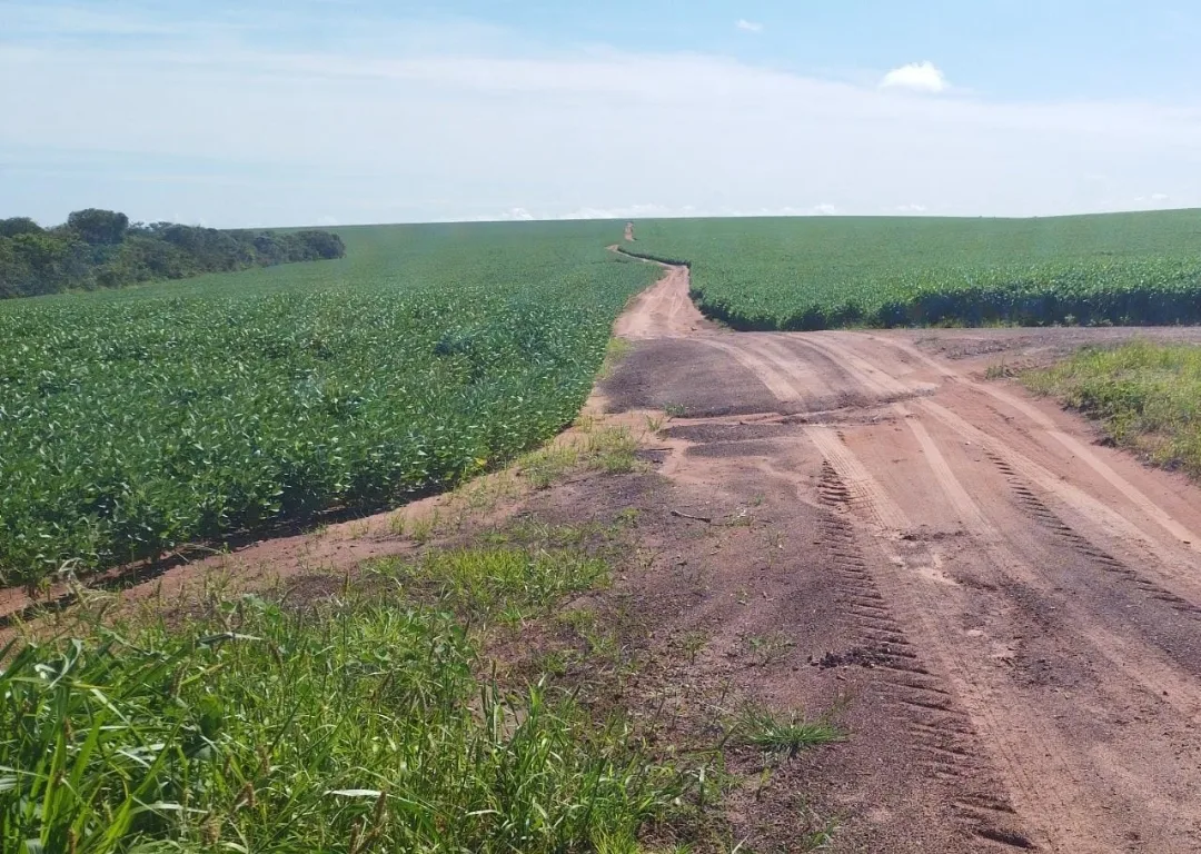 Fazenda 1.143 hectares Jaciara MT